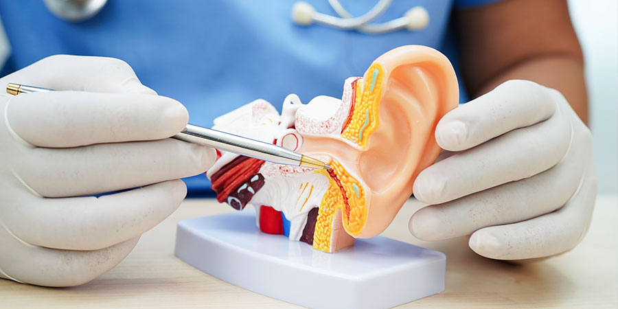 Skull Base and Neurosurgical Collaboration